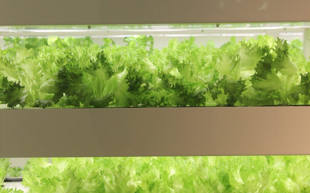 「商社の真価を問う。——海外調達の『困りごと』を解決した3つの実録」第2回：【突破口開設編】