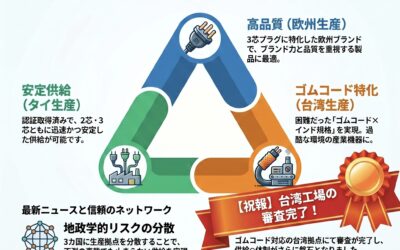 インドBIS認証ACケーブル　地政学リスク分散 × 供給安定性